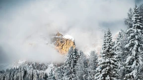 Leichter Riesling im Schnee