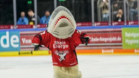 Haie gewinnen Auftaktspiel