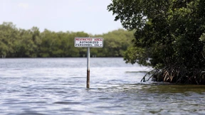 Drohende Umweltkatastrophe in Florida zunächst gebannt