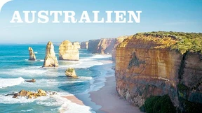 39 unvergleichliche Highlights