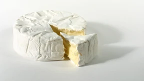 Der Camembert-Pilz vermehrt sich nicht mehr ausreichend