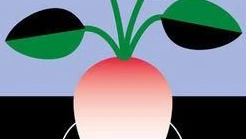 Nackte Radler, versenkte Bänke