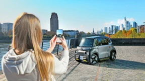 Flügge mit fünfzehn