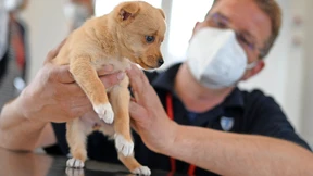 „Tiere sind als Freunde mit dabei“