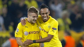 An der Grenze zur Perfektion