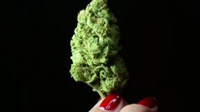 Ein Joint am Grünen Mittwoch