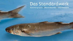 Woran erkennt man frischen Fisch?