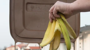 Wenn die Biotonne stehen bleibt