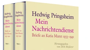 Dein niedliches Verstehstemich