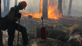 Lagerfeuer löste den Waldbrand aus 