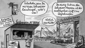 Die Schweizer im Risiko 