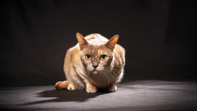 Sie kann auch ohne uns