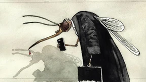 Wie Juristen zu Politikern werden