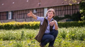 Blühendes Ackergut als Unterschlupf und Nahrung