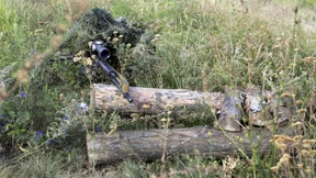 Amerika erlaubt Waffenverkauf an Ukraine