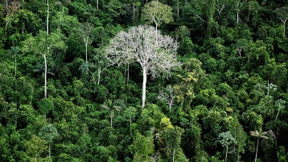 Altstars der Börse droht die zweite Reihe