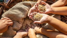 Hitzefest, Einschlaftest, Erntefest