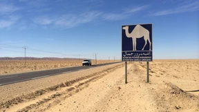 Die Unruhe nach dem Sturm