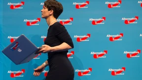Das Bauchgefühl der AfD  