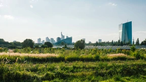 Im Kräutergarten der Bankenmetropole