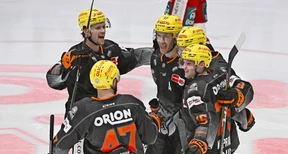 Löwen rehabilitieren sich