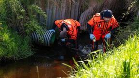 Neue Strategie für Suche nach Arian