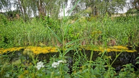 Leserbriefe vom 9. September 2022