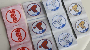 Immer mehr Menschen lernen schwimmen