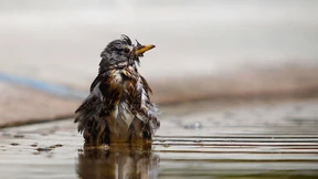 Was die Hitze mit uns macht