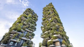 Die Würze der Wildnis in der Stadt