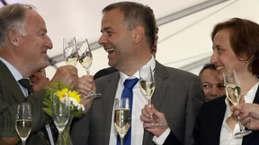 Überrollt von der Walze AfD