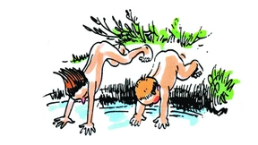 Eher wird Brosius-Gersdorf Verfassungsrichterin