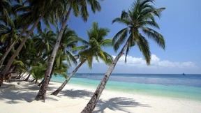 Beeindruckende Inselvielfalt