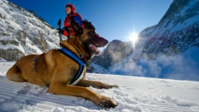 Wenn der Bergsteiger ruft!
