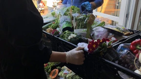 „Wir hätten sonst nichts zu essen“