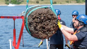 Bergung von Schiffswrack aus der Trave hat begonnen