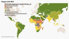 Auf der Welt hungern nur noch halb so viele