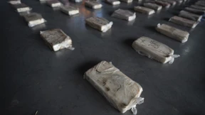 Ermittler stellen drei Tonnen Kokain sicher