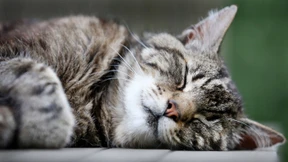 Im Takt mit der Umwelt