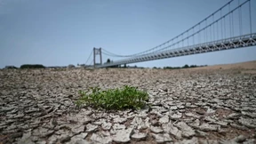 Wie viel Klimakatastrophe ertragen wir Menschen?