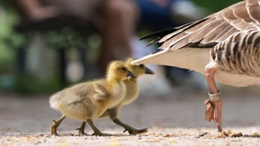 „Beim Investieren laufen wir anderen Ländern hinterher“