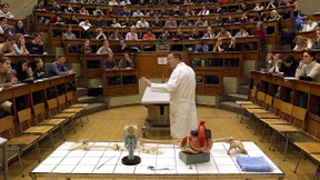 Freiräume für die Auswahl