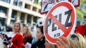 Norwegen schafft alle Pelzfarmen ab