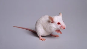 Diese zehn Aktien gibt es zum Sonderpreis