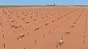 Die Klimaallianzen an den Kapitalmärkten schrumpfen