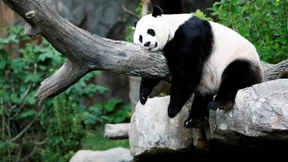 Faulenzen mit Neugeborenem