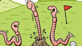 Wo Würmer nur wurmen