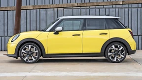 Rundimentärer Ansatz