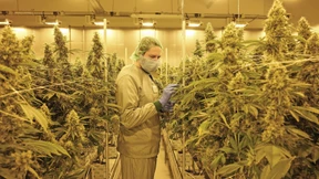 „Wir produzieren praktisch im Auftrag des Staates“