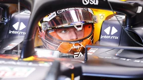 Der bedrohte Weltmeister